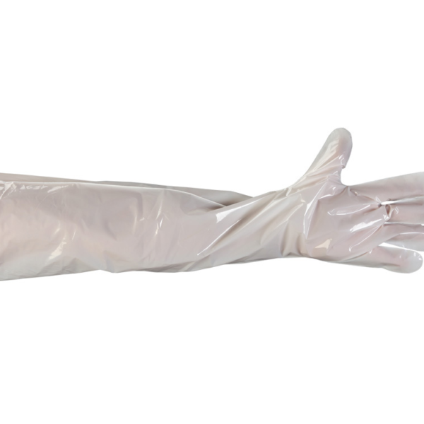 Polyethylene Gloves