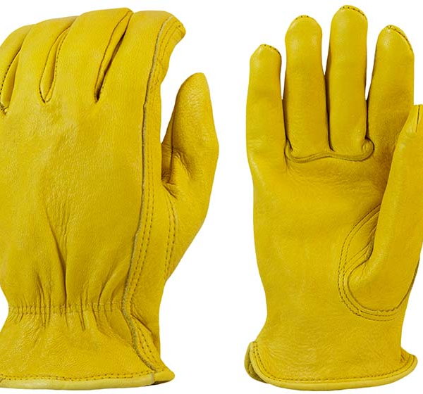 Deer - Unlined Grain Leather, Shirred Elastic Back, Keystone Thumb