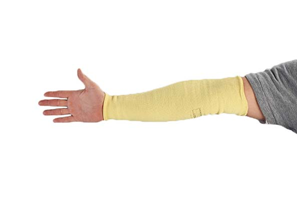 1c1a09 70b87de9b8f44348b0832e3b941cfc67mv2