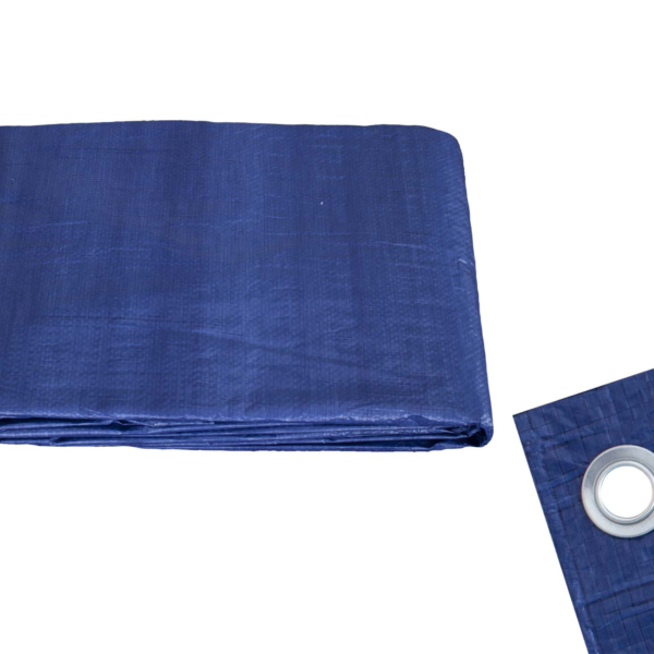 Blue Regular Duty Durable Polyethylene, Aluminum Rust-Resistant Grommets, 12' x 25'