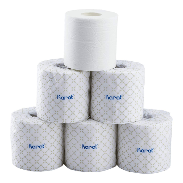 [48 Rolls] Standard 2-ply Toilet Paper Rolls