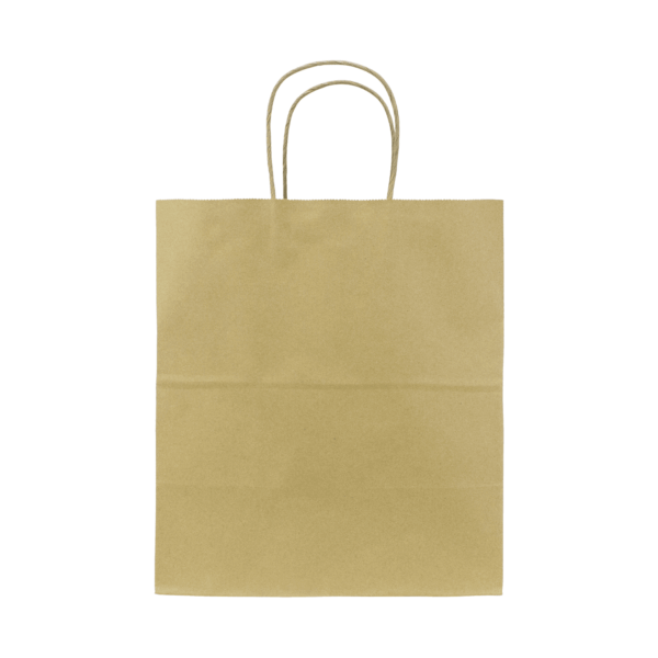[250 ct] Malibu Paper Shopping Bags (Large), Kraft