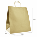 [200 ct] Huntington Paper Shopping Bag with Twisted Handles - Image 2