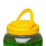 Green Mango Concentrate - Jar (7.7 lbs) - Image 5