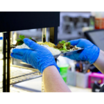 [1,000 ct] Nitrile Gloves | Latex-Free | Powder-Free | Blue | Medium - Image 9