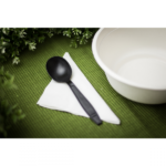 Karat Earth Heavy Weight Bio-Based Soup Spoons, Black - 1000 pcs - Image 5