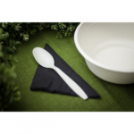 Karat Earth PLA Heavy Weight Compostable Tea Spoons, Natural - 1,000 pcs - Image 7